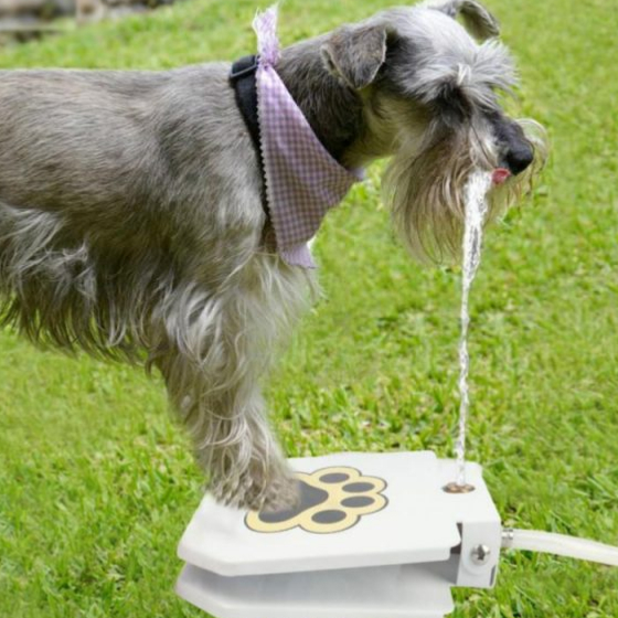 Outdoor Dog Water Fountain